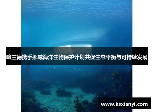 哈兰德携手挪威海洋生物保护计划共促生态平衡与可持续发展