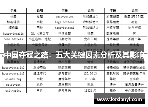 中国夺冠之路：五大关键因素分析及其影响