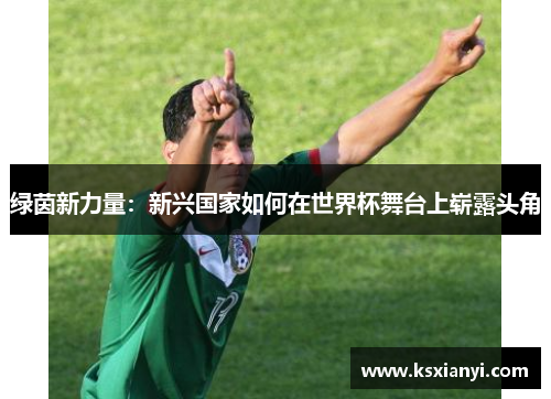 绿茵新力量：新兴国家如何在世界杯舞台上崭露头角