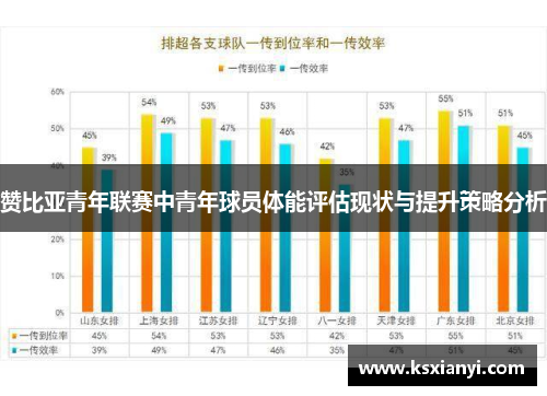 赞比亚青年联赛中青年球员体能评估现状与提升策略分析